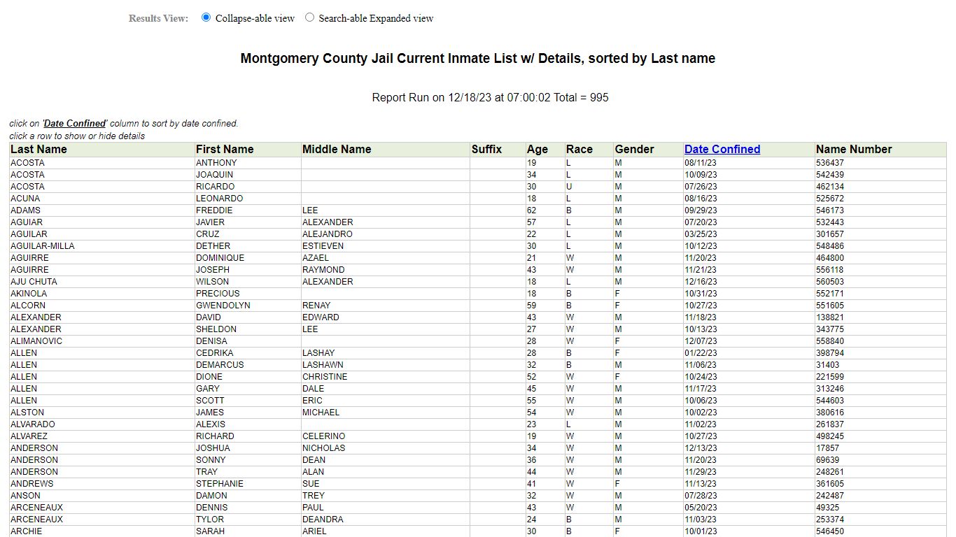Jail Roster